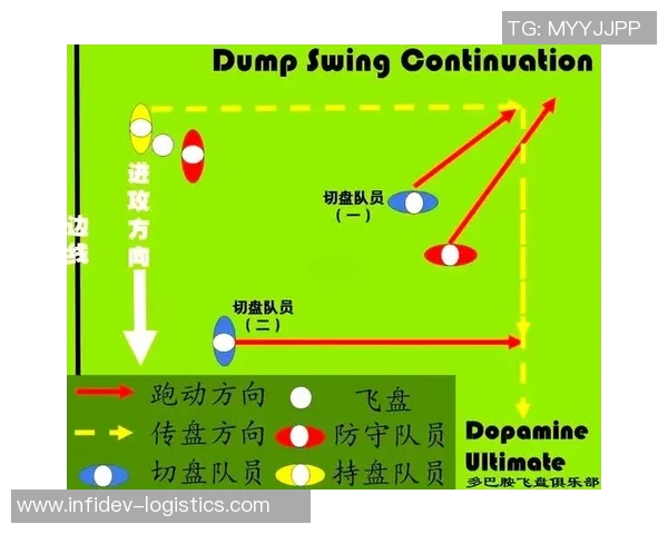 南京飞盘队阵地战分析：胜负背后的战术与团队协作探讨