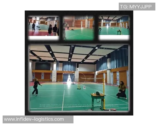 南京羽毛球队运营揭秘：深度解析羽毛球运动的背后故事与发展策略